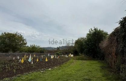 Photo 4 of House or chalet for sale in Solórzano, Cantabria