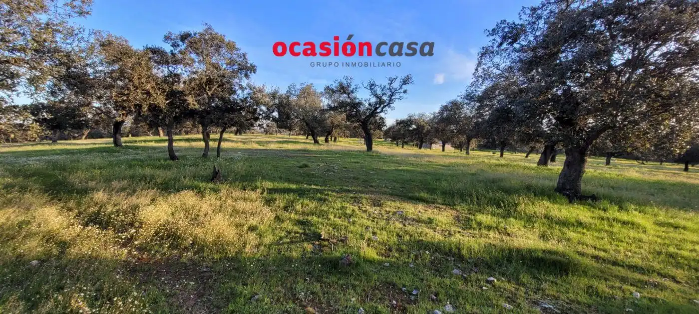 Casa rústica en venda a Pozoblanco, imagen 4