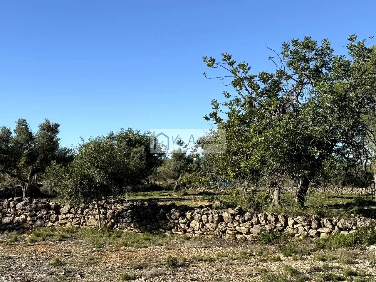 Terrenos y solares en venta en Arrivesando, imagen 8