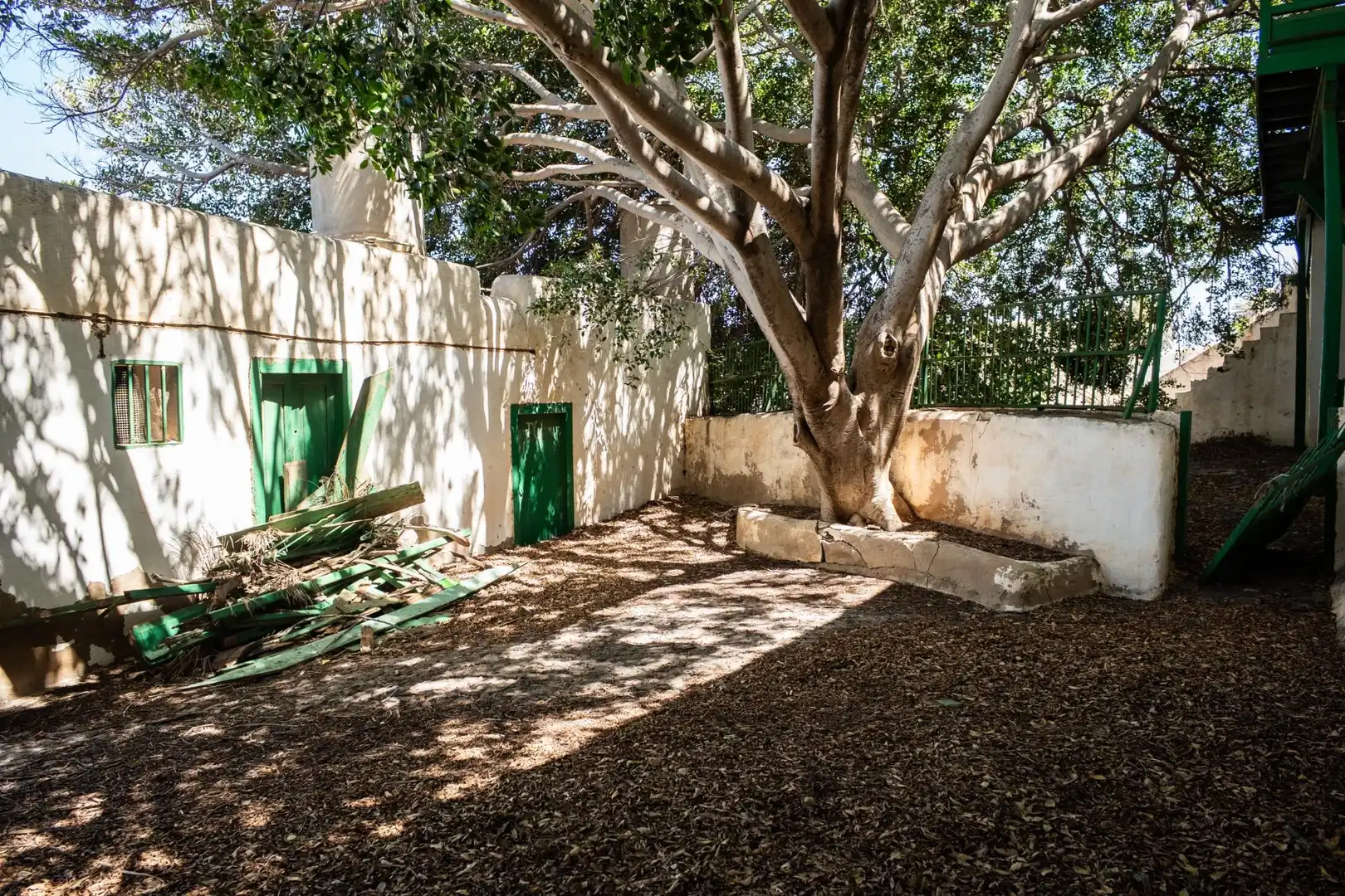 Jardí de Finca rústica en venda en Ingenio amb Jardí privat, Traster i Balcó