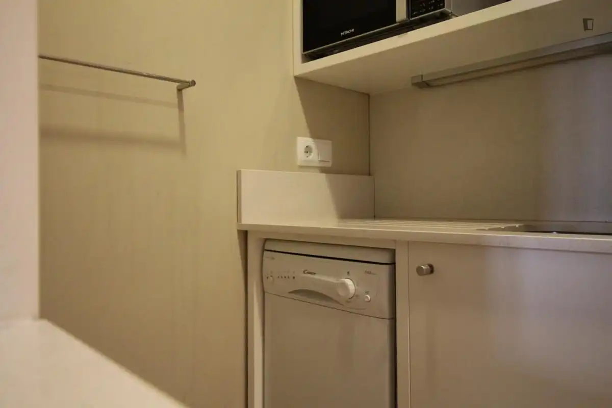 Estudio en alquiler en Centro, imagen 18