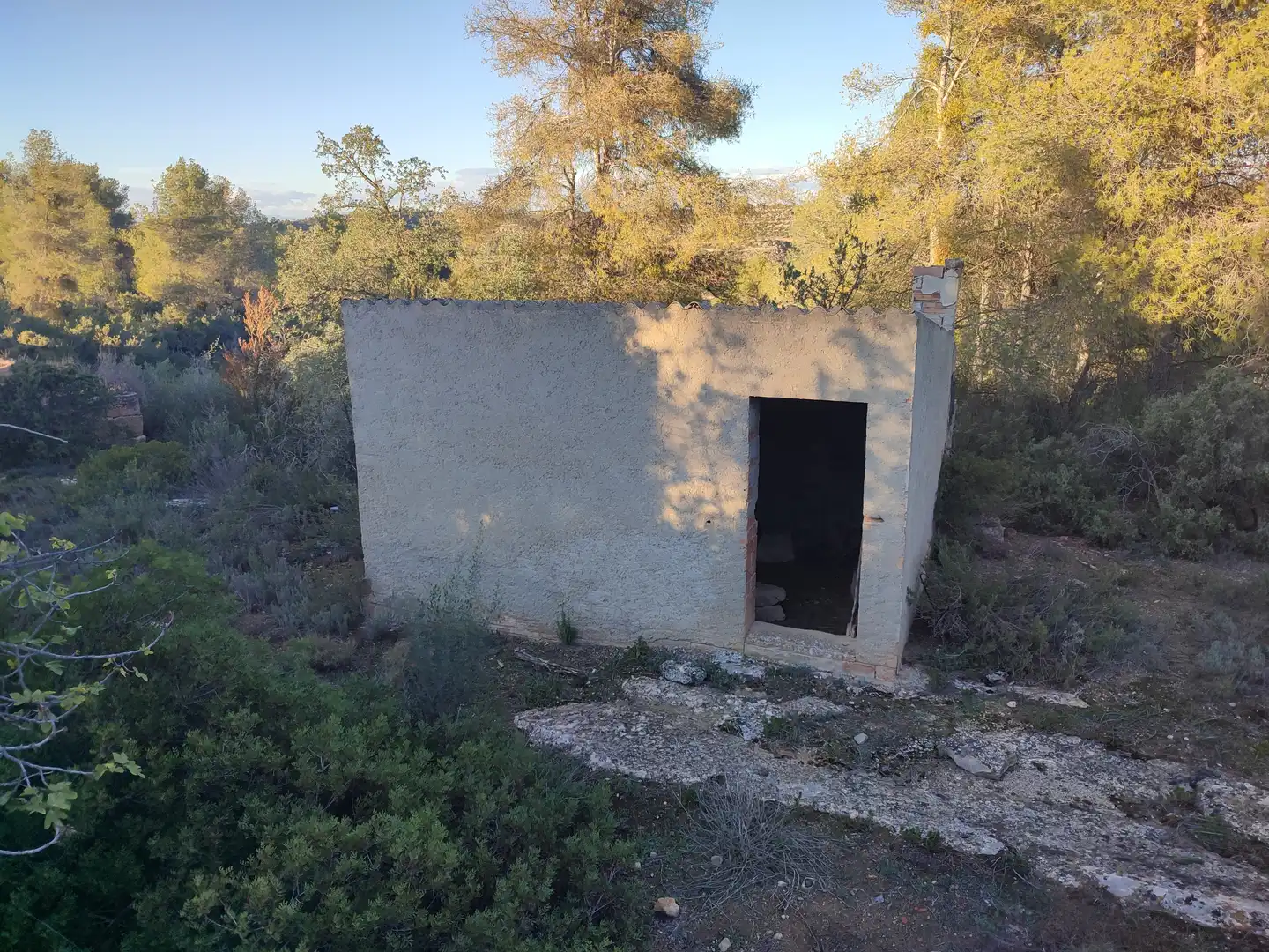 Terreno rústico en venta en Cervià de Les Garrigues, imagen 40