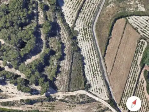 Terreny rústic en venda a Camí de la Sisca 13, imagen 2