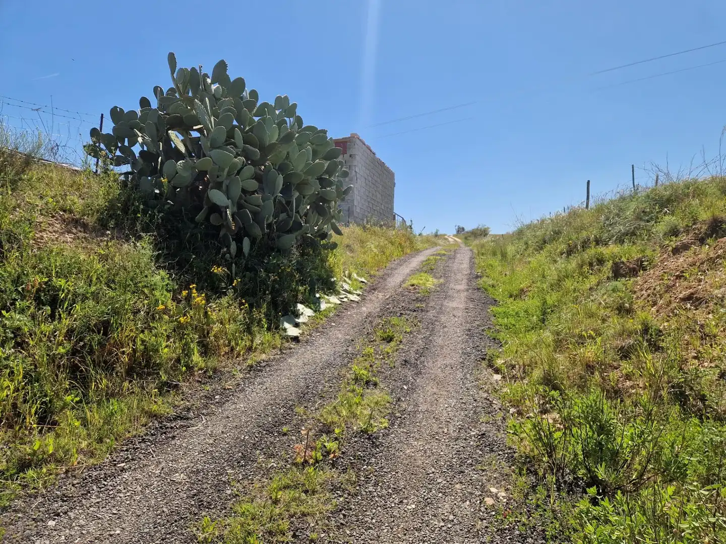 Land for sale in Carretera EX-108, Galisteo