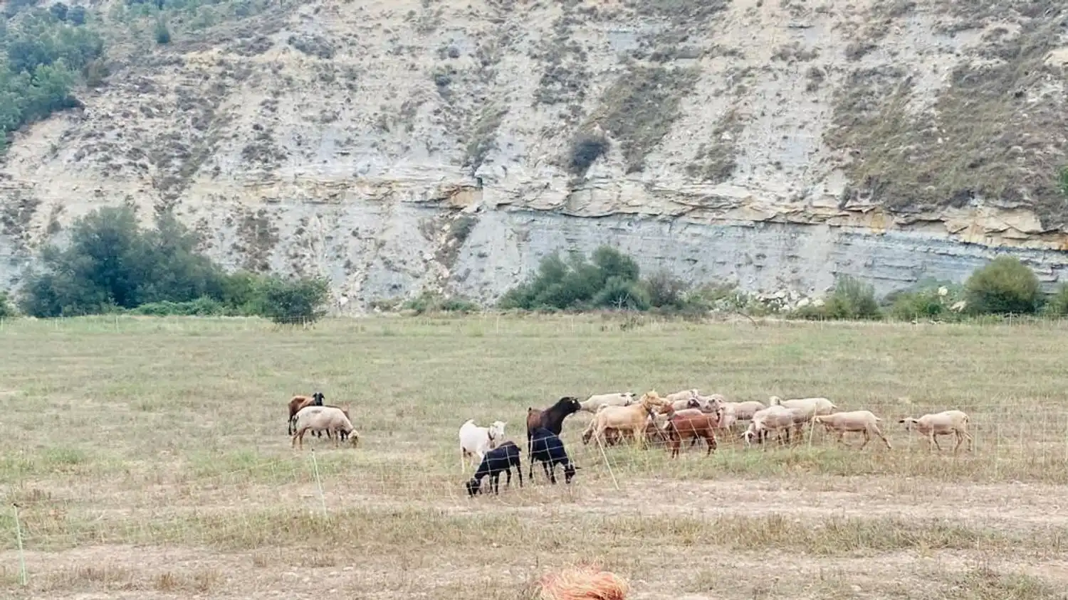 Vista exterior de Finca rústica en venda en Olocau del Rey amb Terrassa i Traster