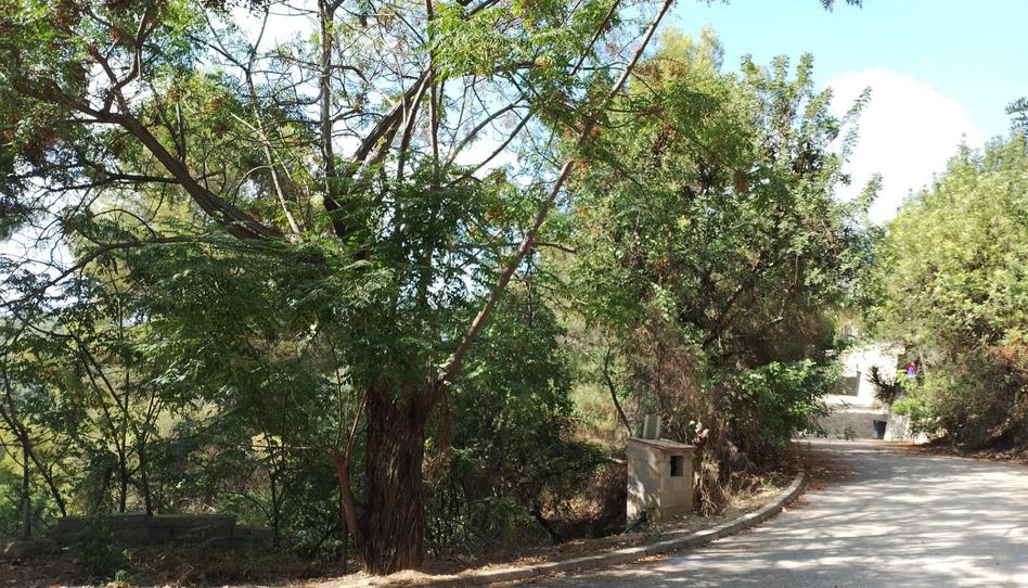 Photo 1 of Residential for sale in Urbanizacion Monterrey, 69, El Real de Gandia, Valencia