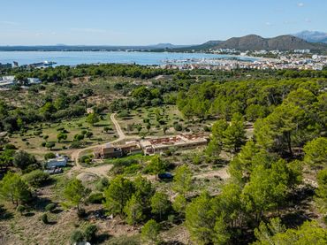 Terreny rústic en venda a Ciutat d'Alcúdia