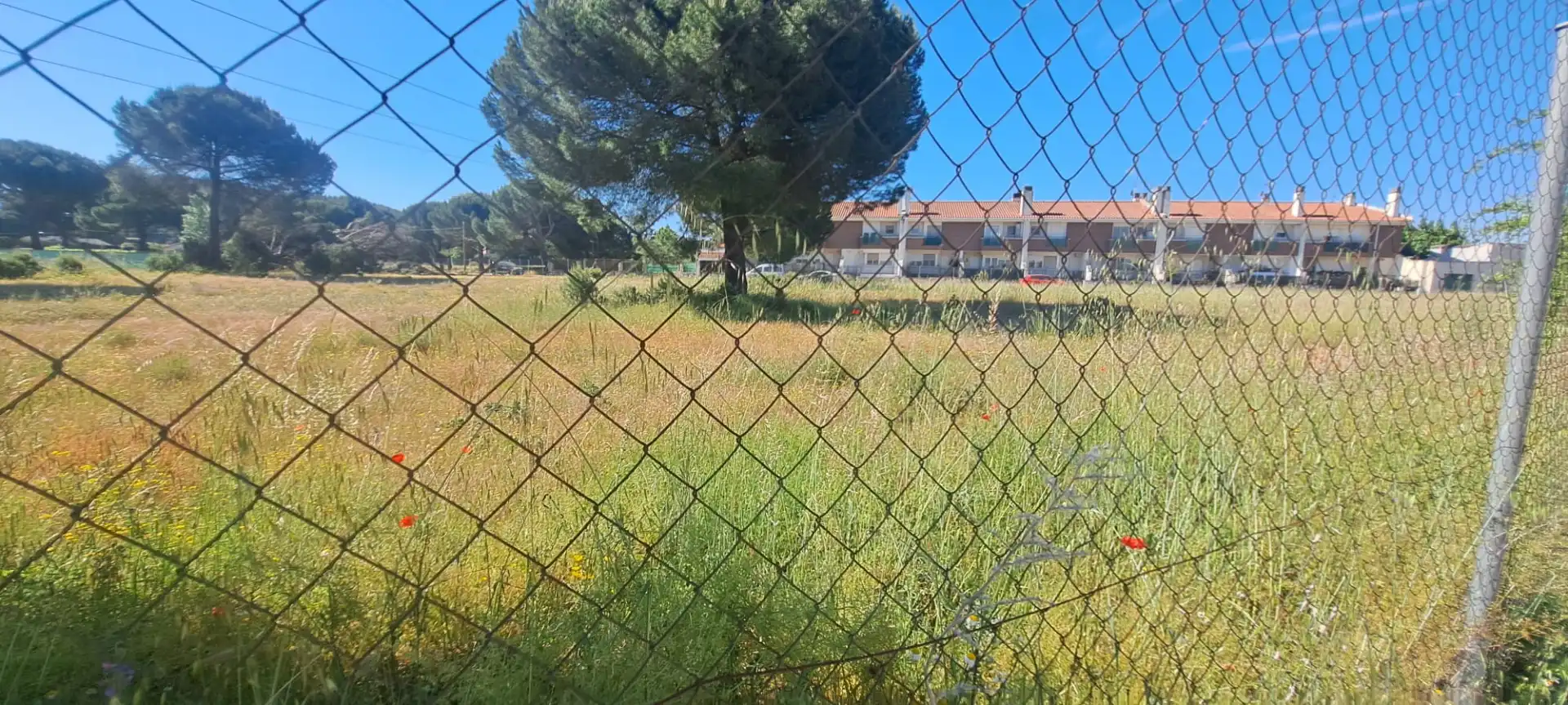 Terreni e lotti in vendita a Camino Cabezada 1, imagen 12