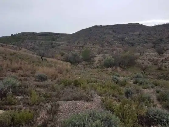 Terrain rustique à vendre à Lorca Ciudad, imagen 2