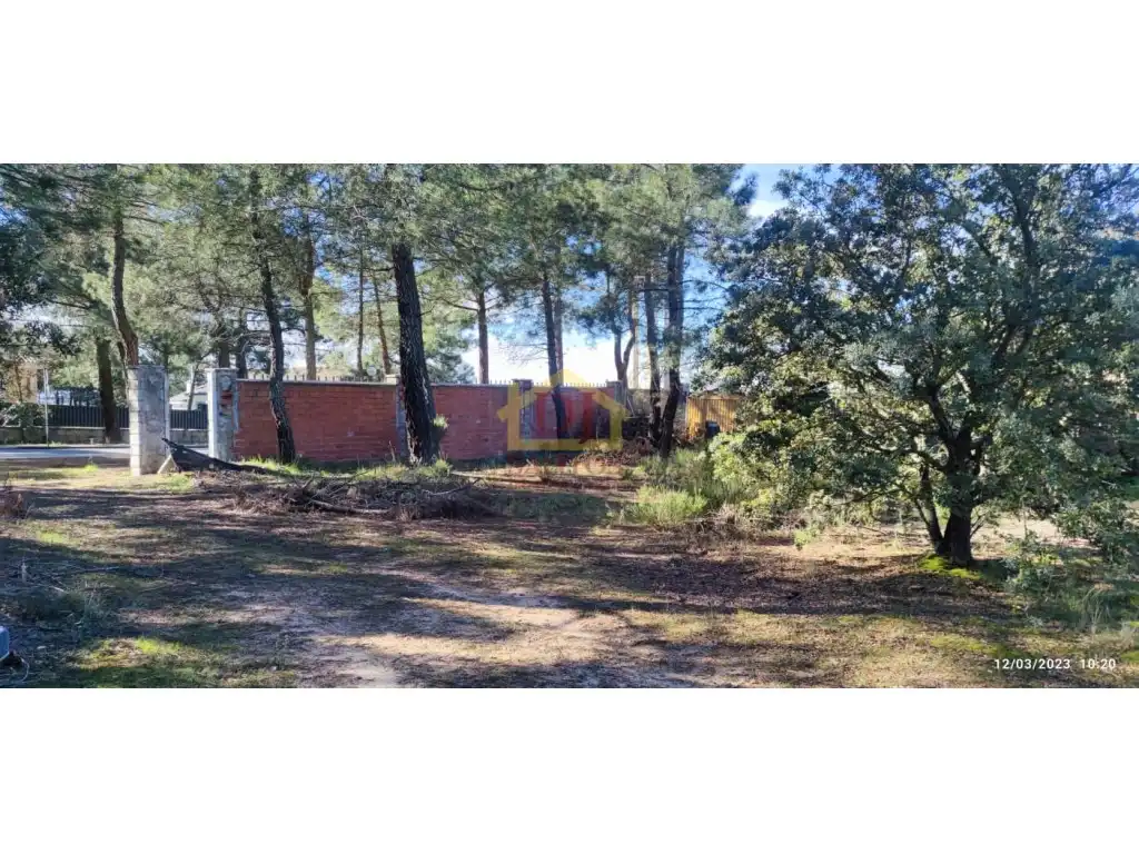 Terreny residencial en venda a Calle Madroños, imagen 2