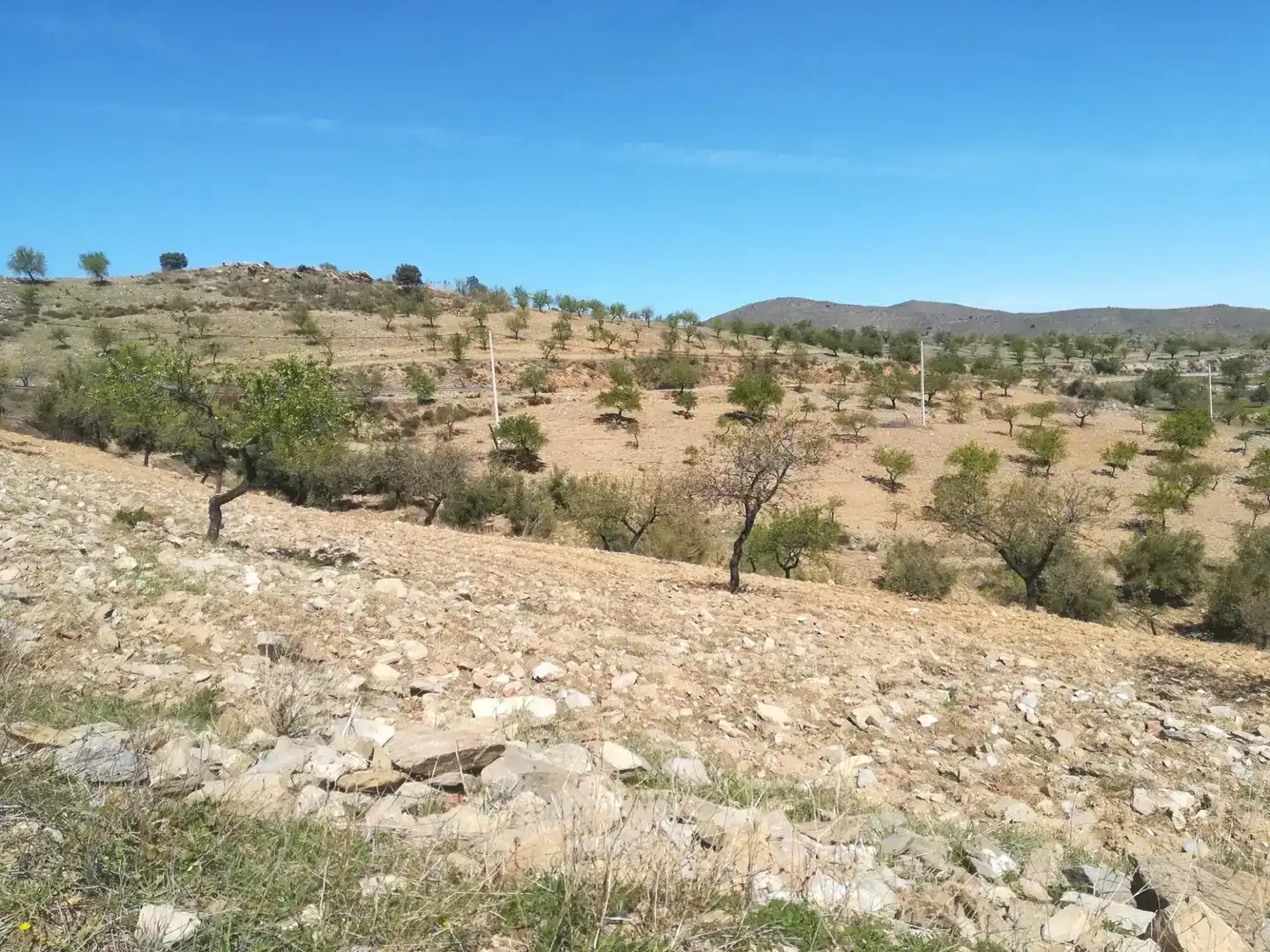 Terreno en venta en Tahal