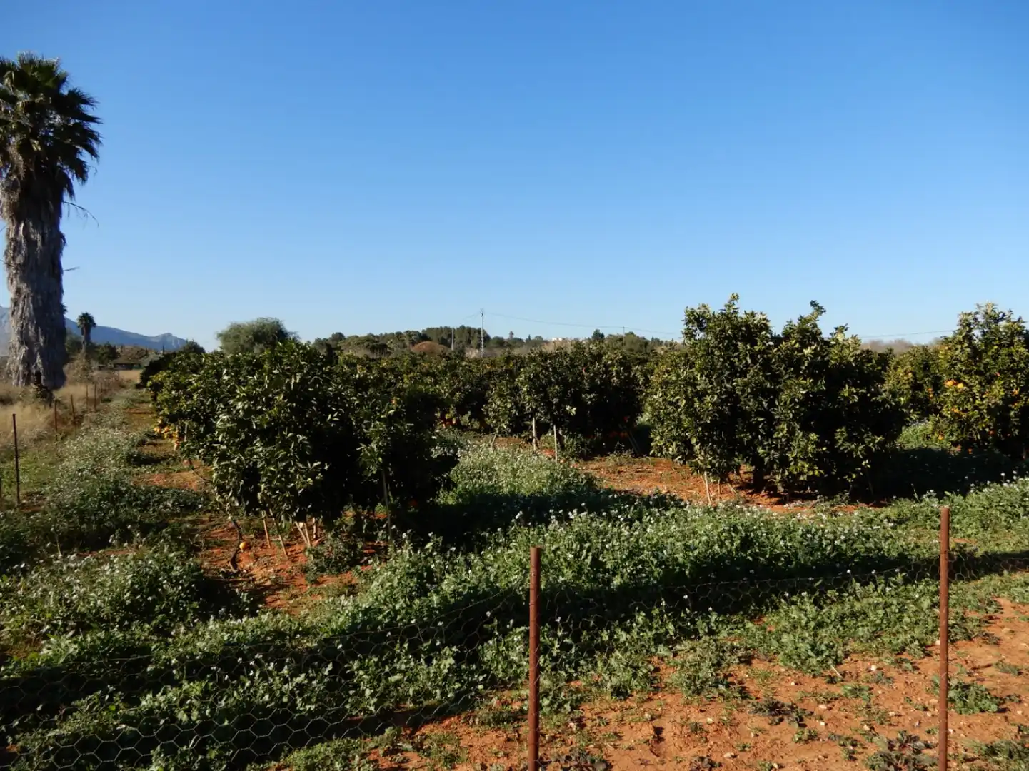 Residential land for sale in La Sella, imagen 11