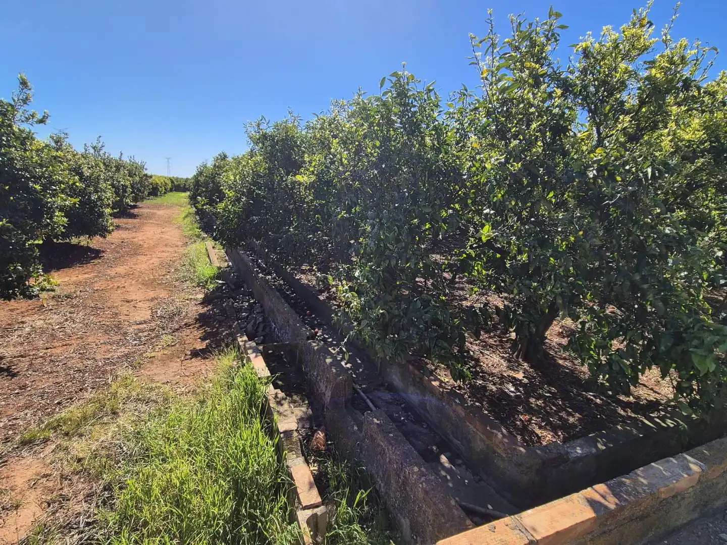 Finca rústica en venta en Vila-real