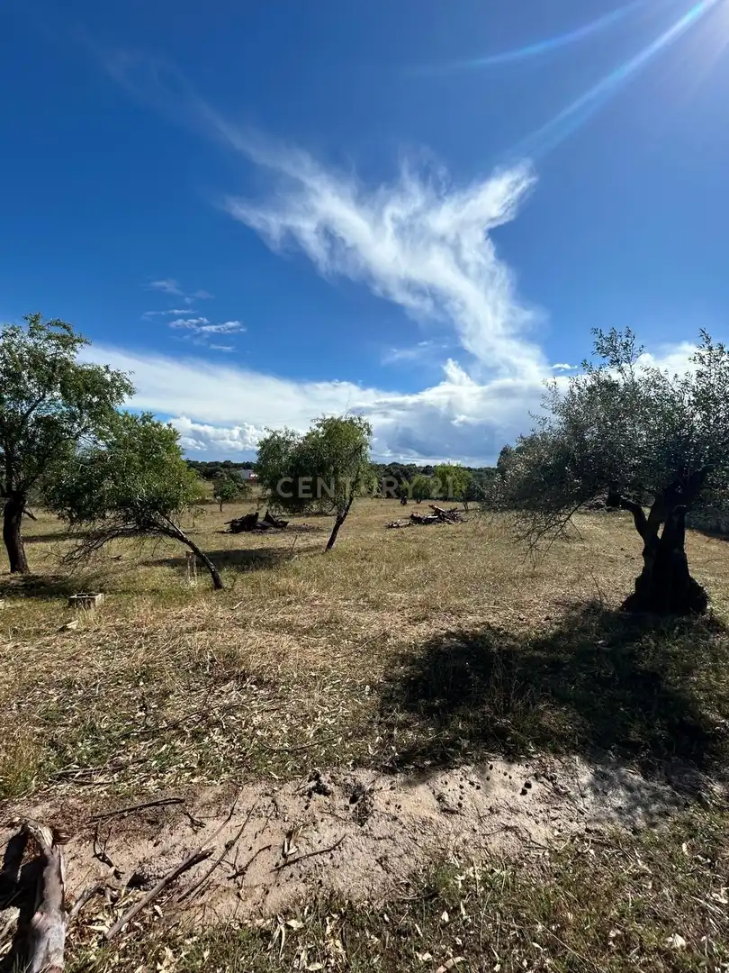 Houses for sale in Arroyo de la Luz  with Air Conditioner, Private garden and Swimming Pool