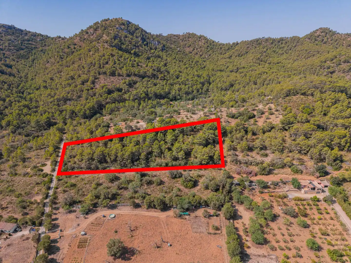 Rural land for sale in Son Servera Poble, imagen 14