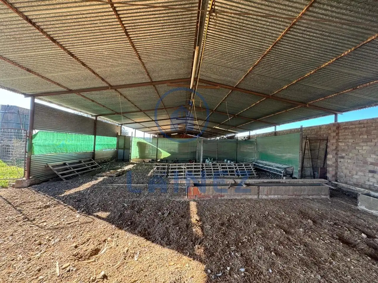 Terrains et parcelles à vendre à La Granjuela, imagen 15