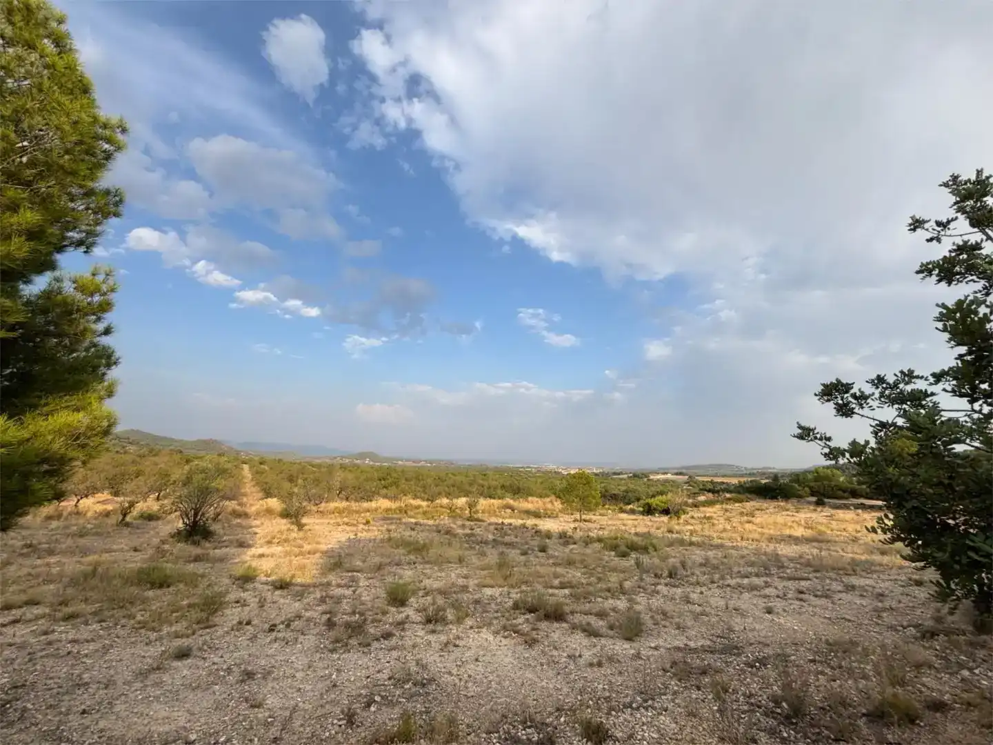 Finca rústica en venda en Llíria