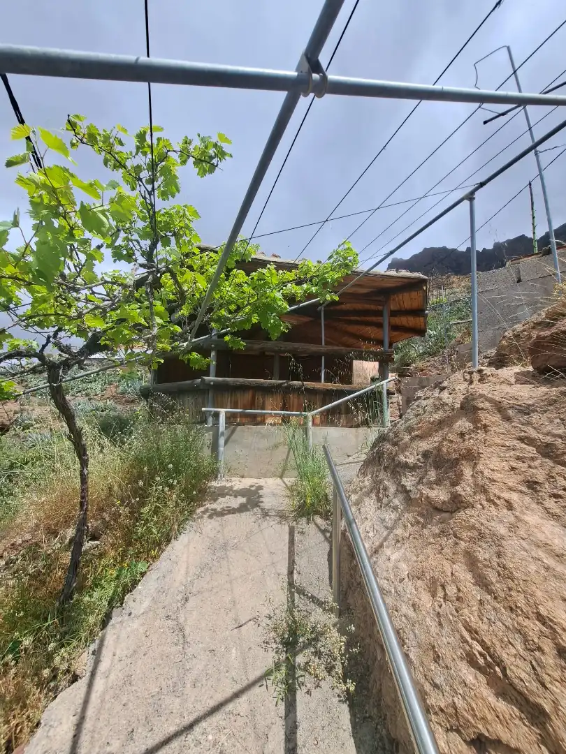 Vista exterior de Casa o chalet en venta en San Bartolomé de Tirajana con Jardín privado, Terraza y Trastero