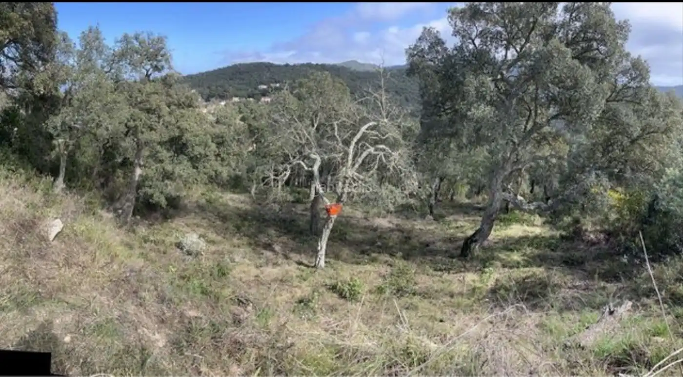 Residential land for sale in Carrer Penya de les Cols 67, imagen 4
