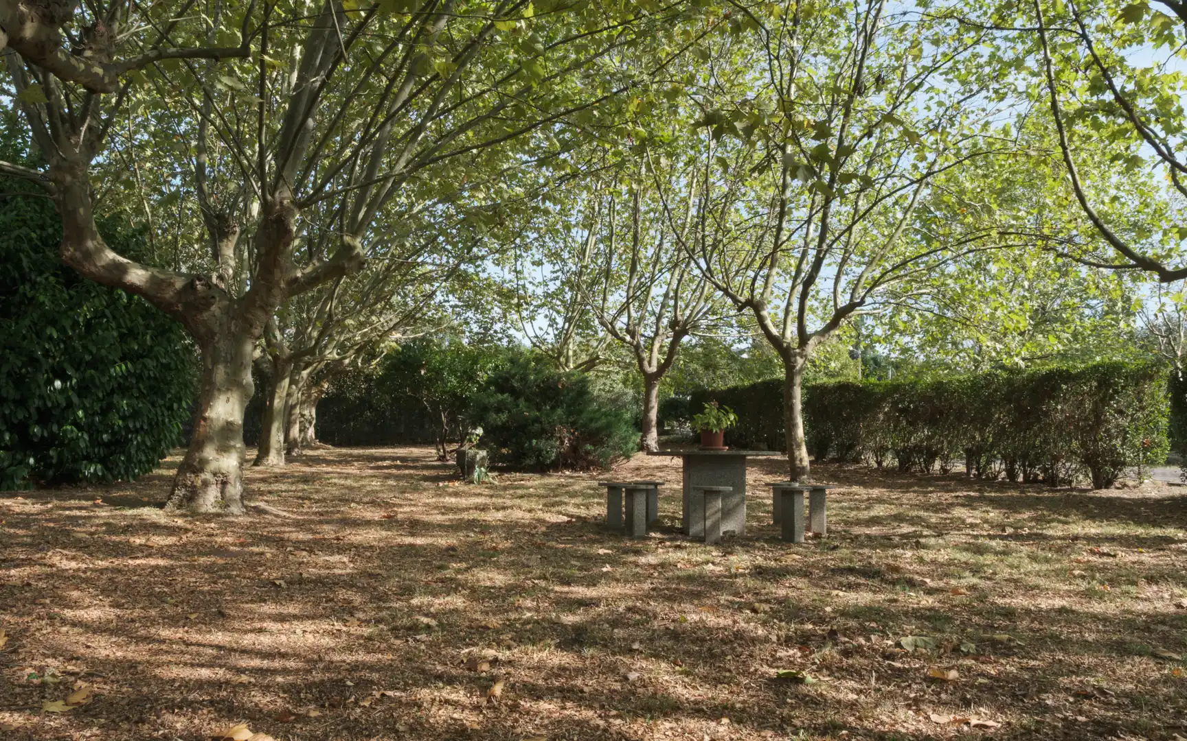 Xalet amb terrassa en venda a O Pereiro de Aguiar, imagen 24