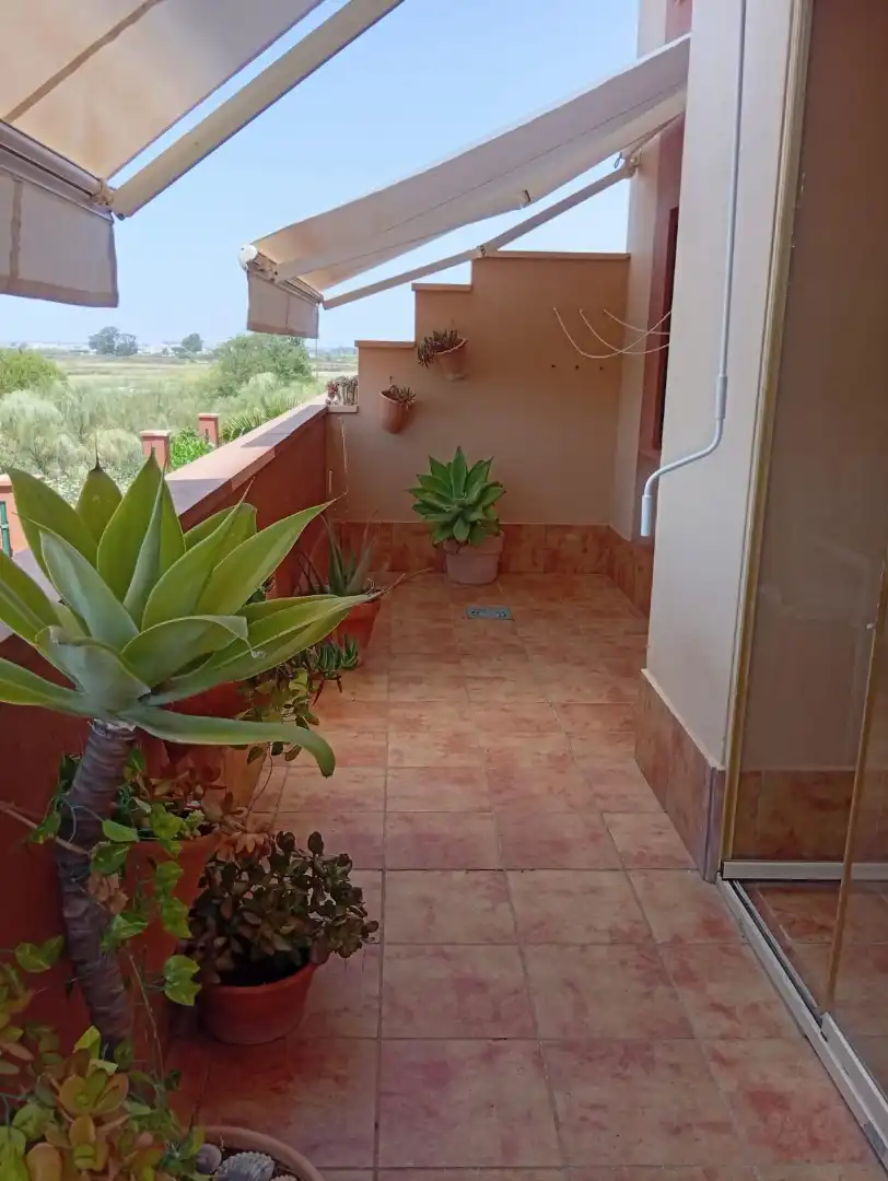 Appartement avec terrasse à vendre à Avenida de los Cisnes, imagen 7