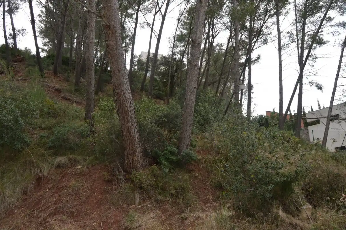 Terreni e lotti in vendita a Corbera de Llobregat, imagen 27