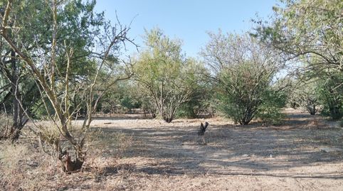 Foto 2 de Casa o chalet en venta en V Centenario - Piletas - Capuchinos, Sanlúcar de Barrameda