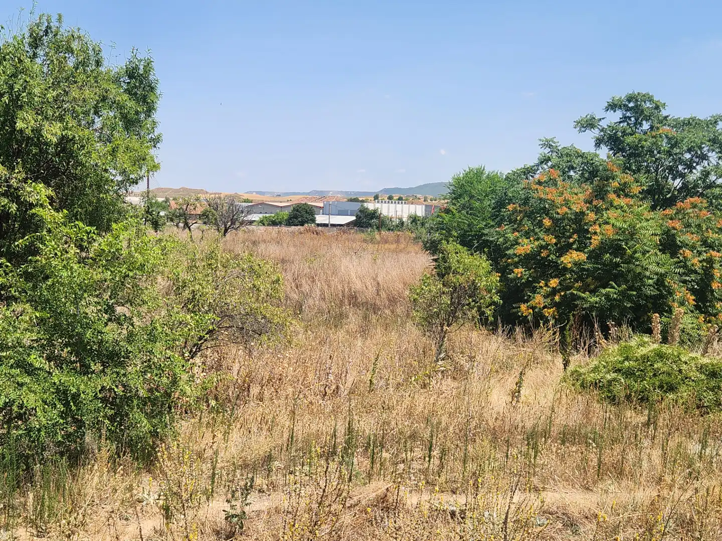 Terreno residenziale in vendita a Marchamalo, imagen 22