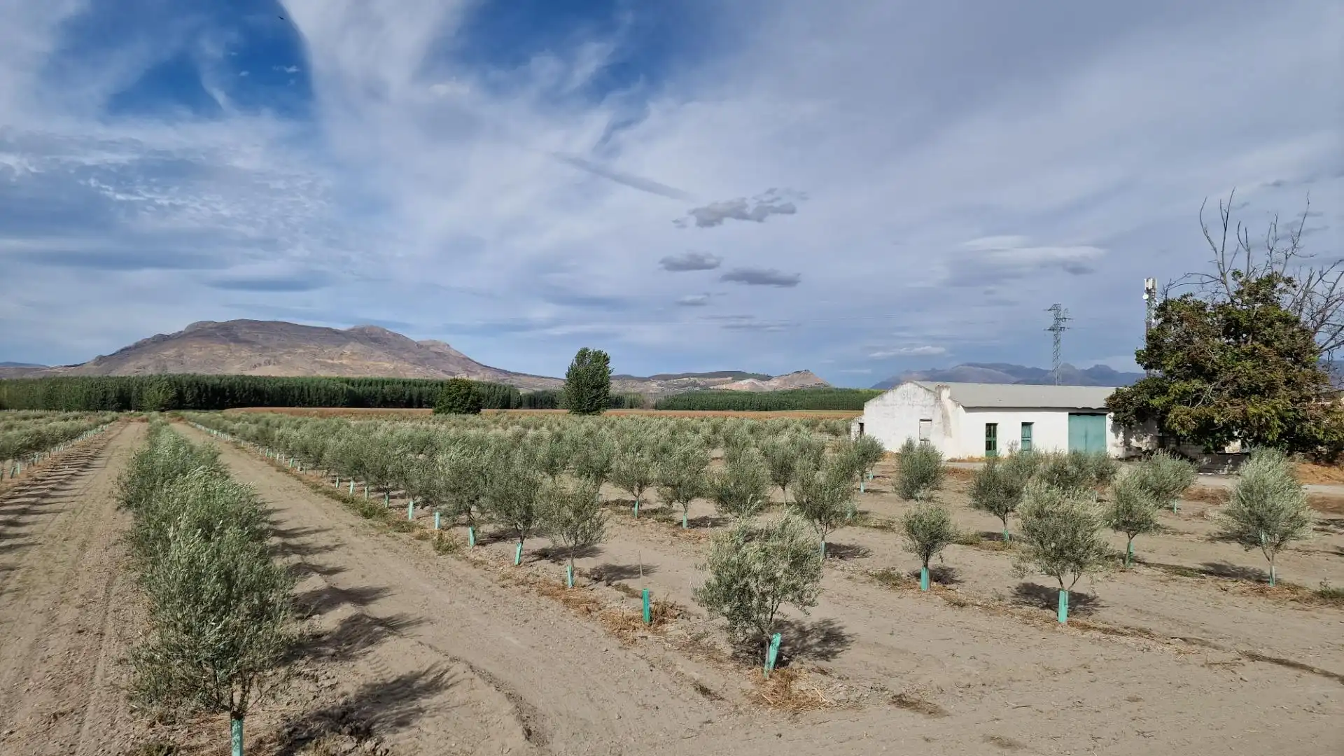 Vista exterior de Finca rústica en venta en Santa Fe