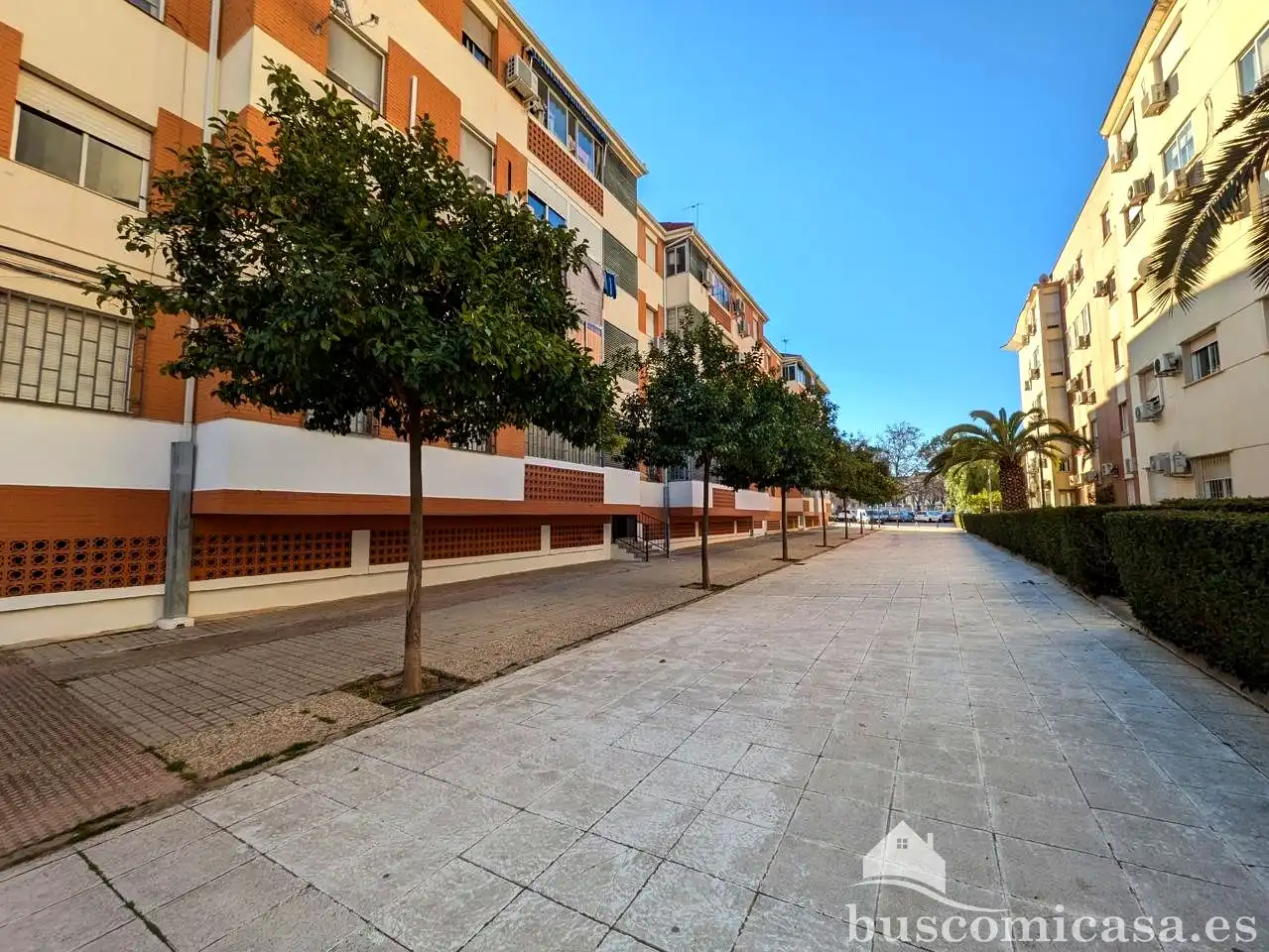 Vista exterior de Pis en venda en Linares amb Aire condicionat, Traster i Balcó