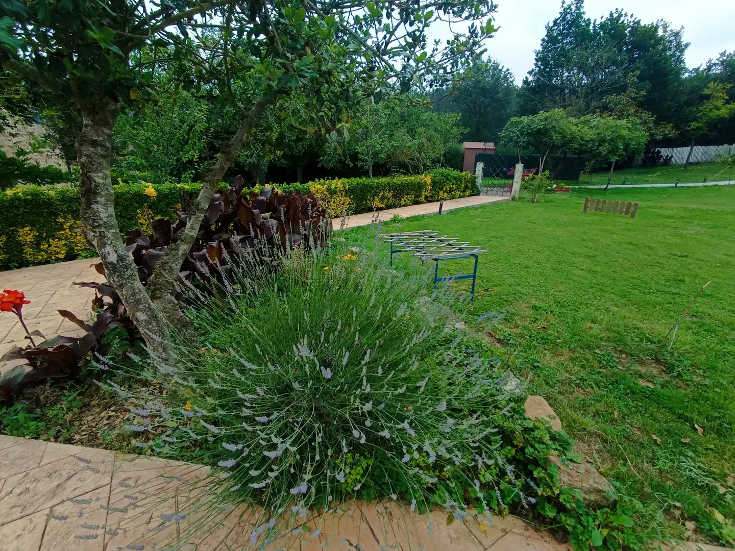 Garden of Country homes for rent in Amurrio  with Private garden, Terrace and Furnished