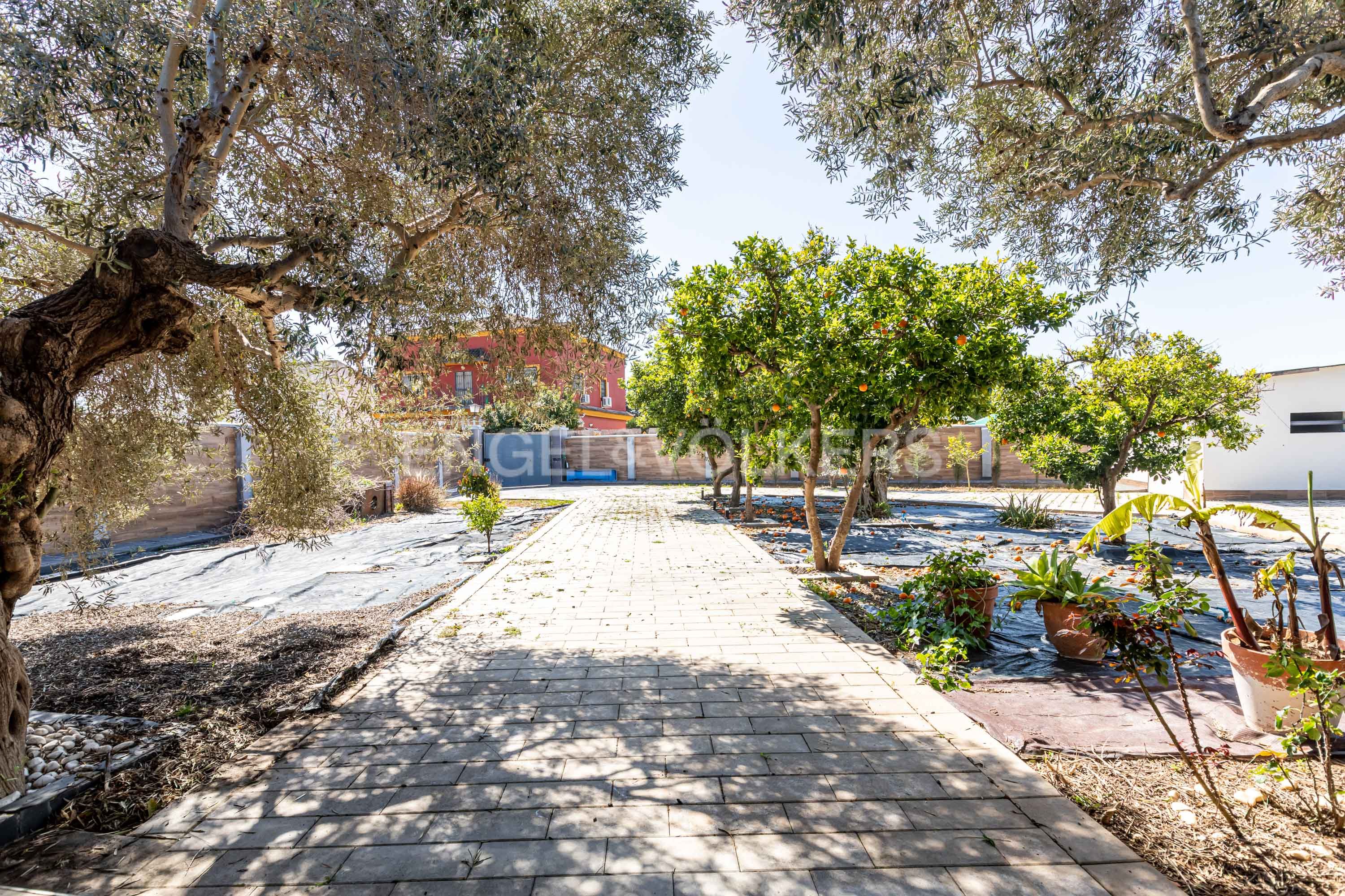 Exterior view of House or chalet for sale in Alcalá de Guadaira  with Air Conditioner, Heating and Private garden