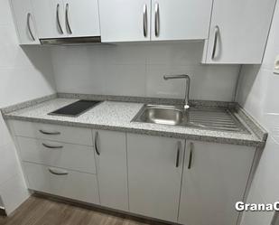Cuina de Pis de lloguer en  Granada Capital amb Aire condicionat, Calefacció i Moblat