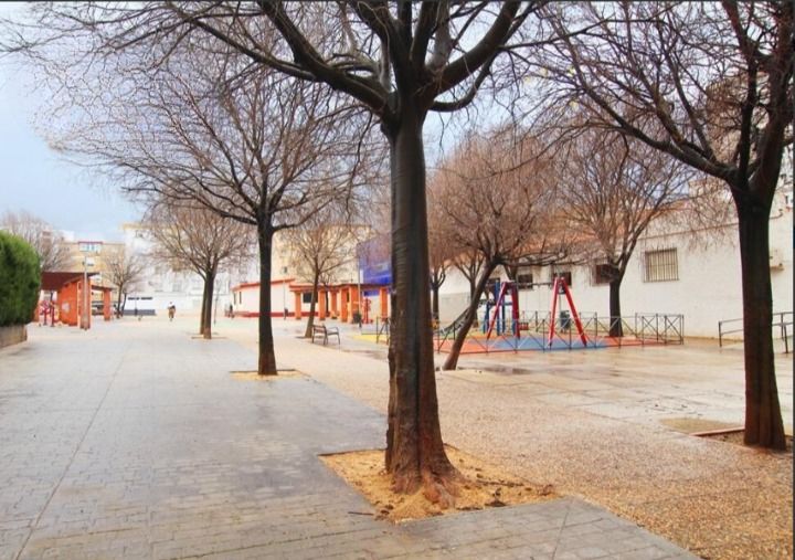 Vista exterior de Piso en venta en Jerez de la Frontera con Terraza