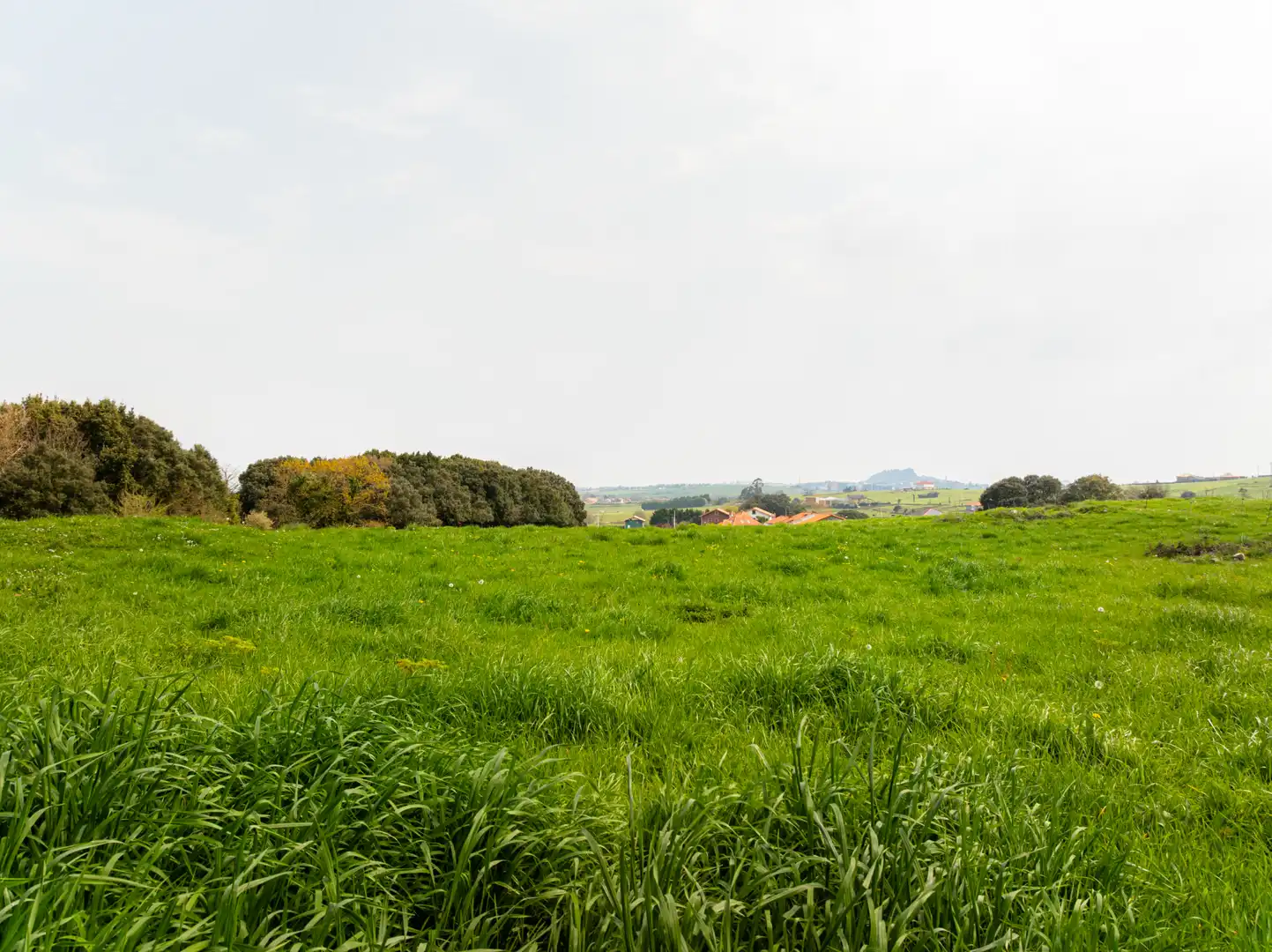 Residencial en venta en Calle la Gesa, 6A, Bezana - Prezanes