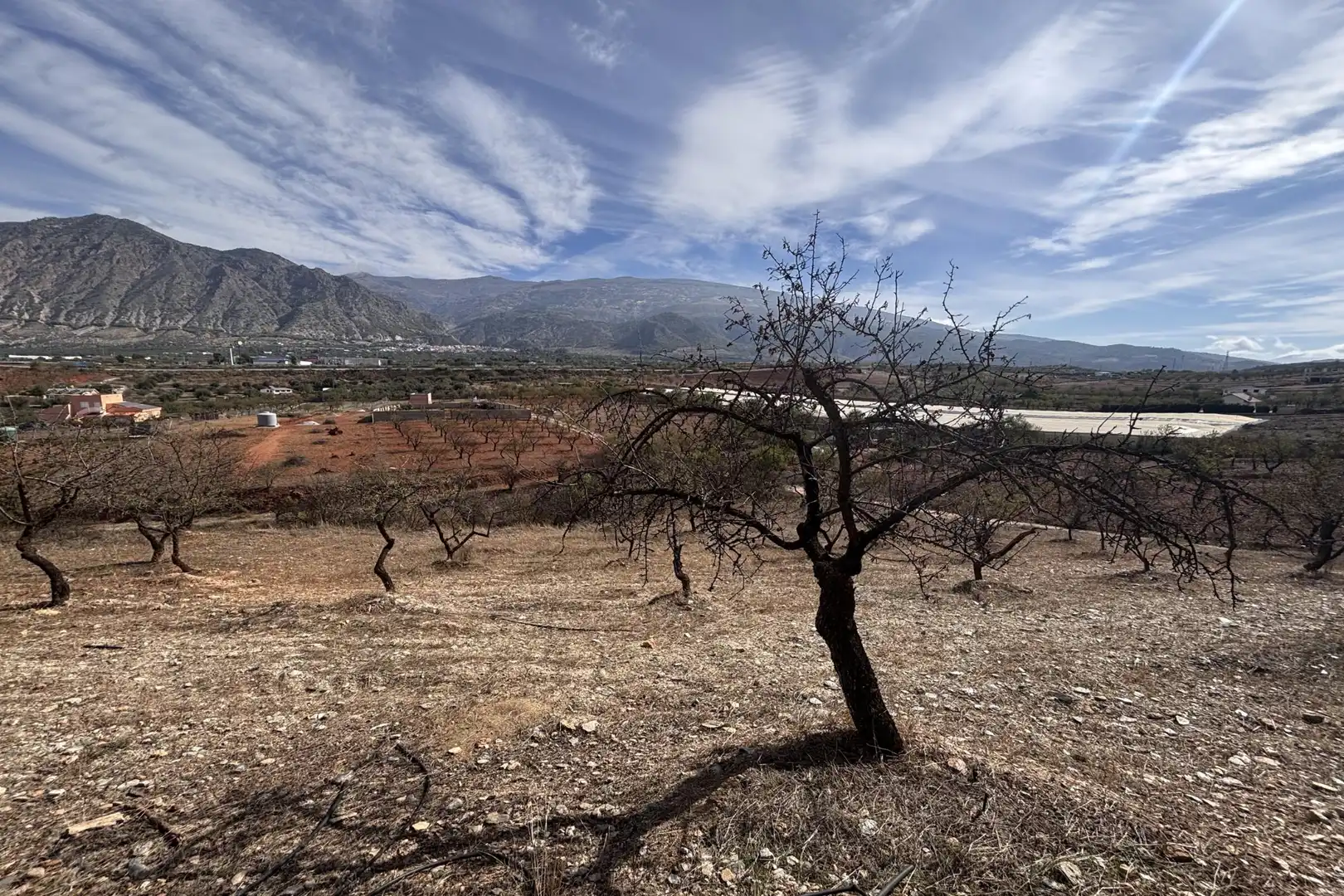 Rural land for sale in Nigüelas, imagen 8