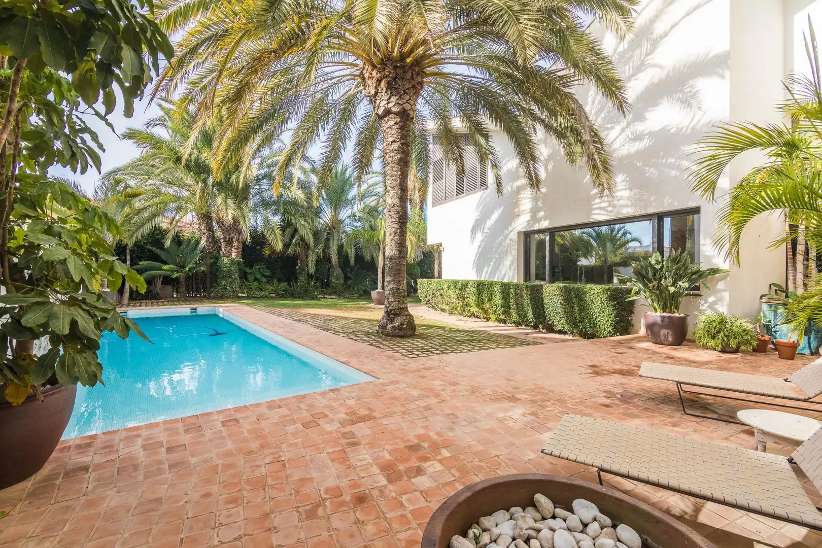 Schwimmbecken von Haus oder Chalet zum Verkauf in Elche / Elx mit Klimaanlage, Heizung und Privatgarten