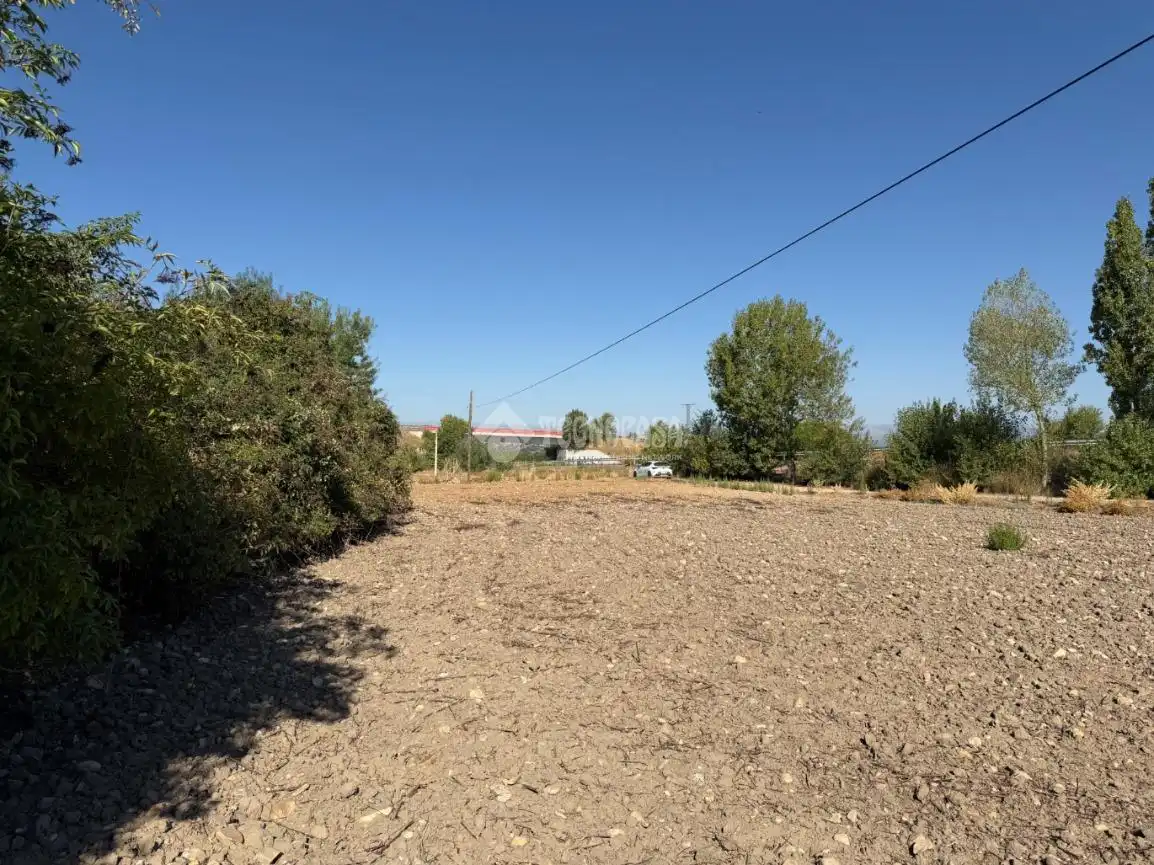 Terreny rústic en venda a Fuente El Saz de Jarama, imagen 19