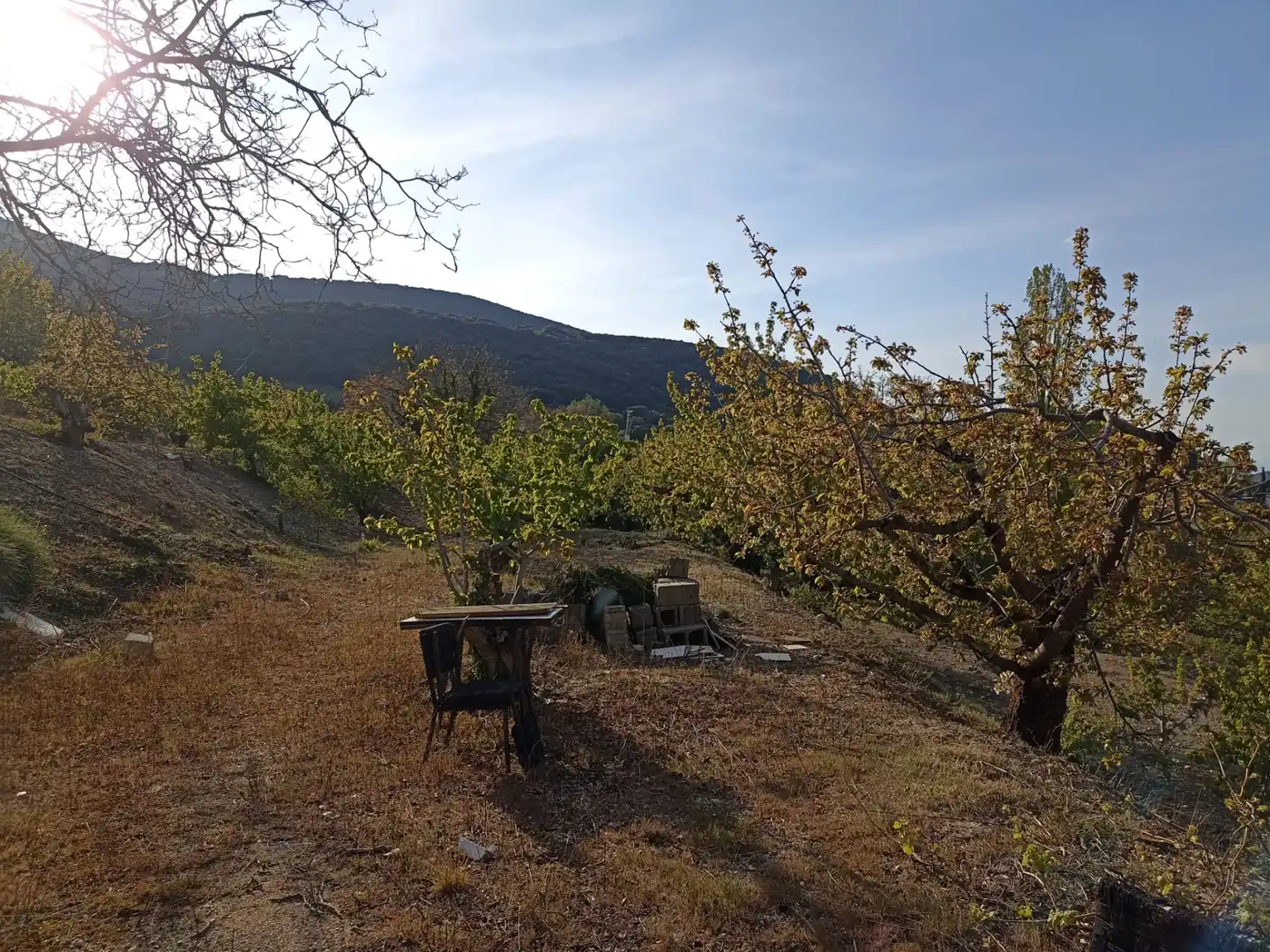 Land for sale in Torres
