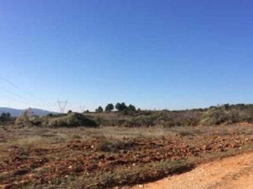 Terrain rustique à vendre à Requena