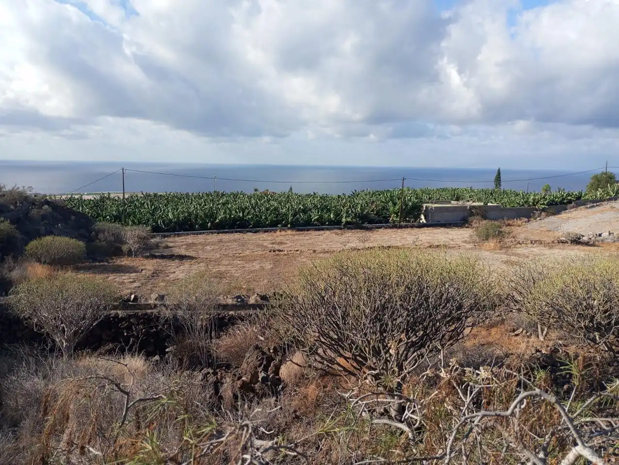 Rural land for sale in Alcalá, imagen 6