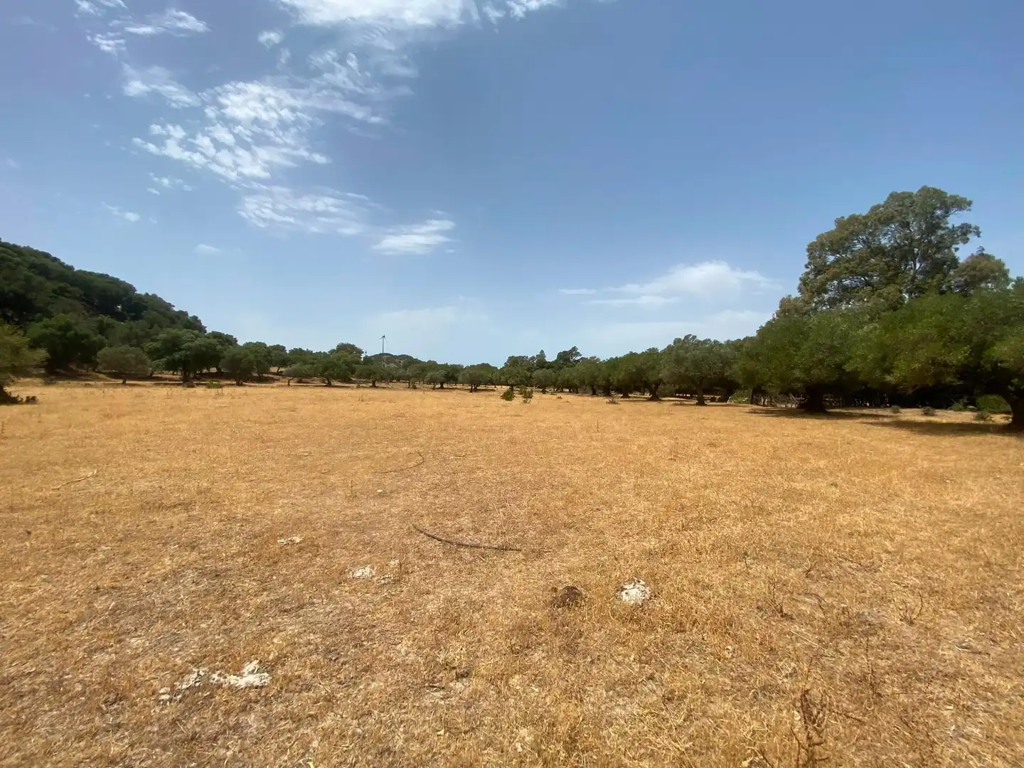 Terreni e lotti in vendita a Alcalá de los Gazules, imagen 66