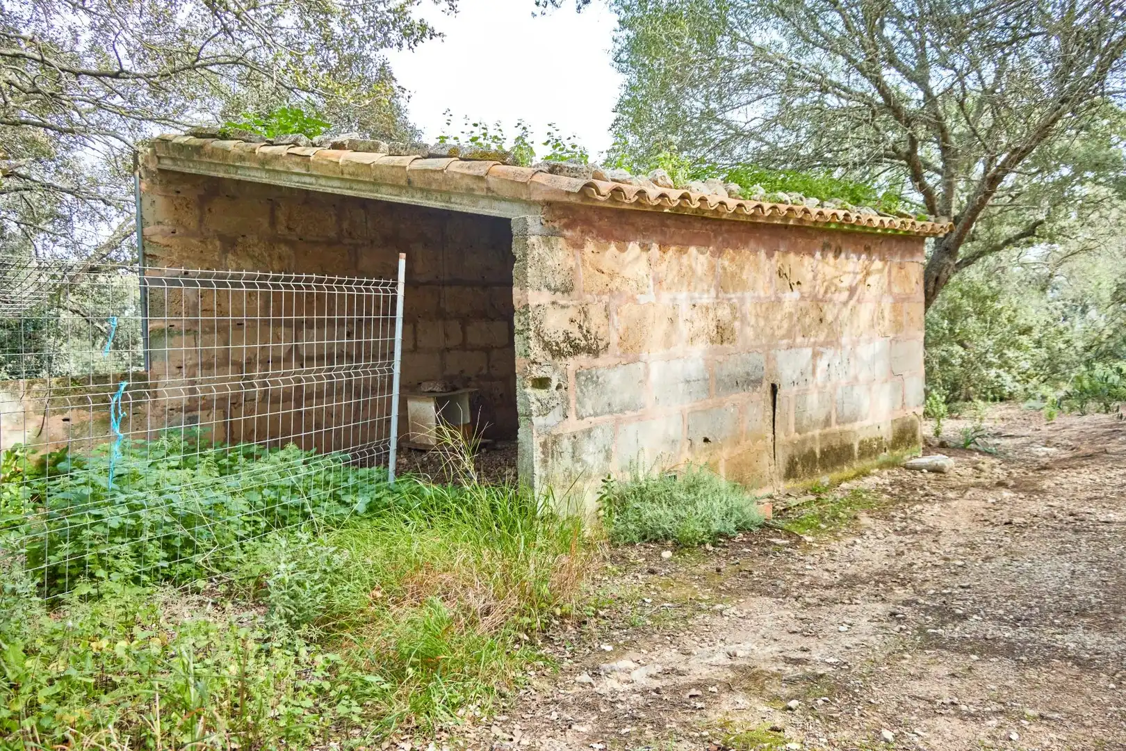 Casa rústica amb piscina en venda a Llucmajor pueblo, imagen 57