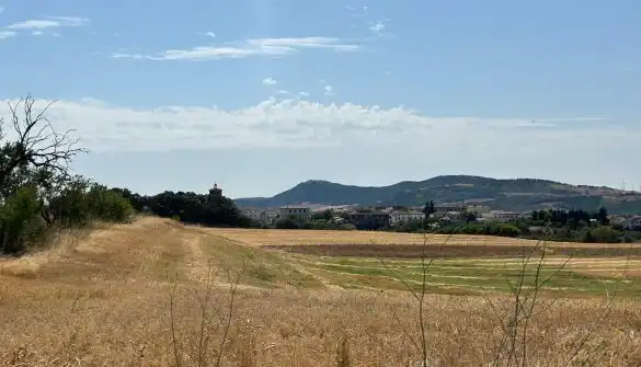 Rural land for sale in Polígono  Saratsua  polígono, imagen 19