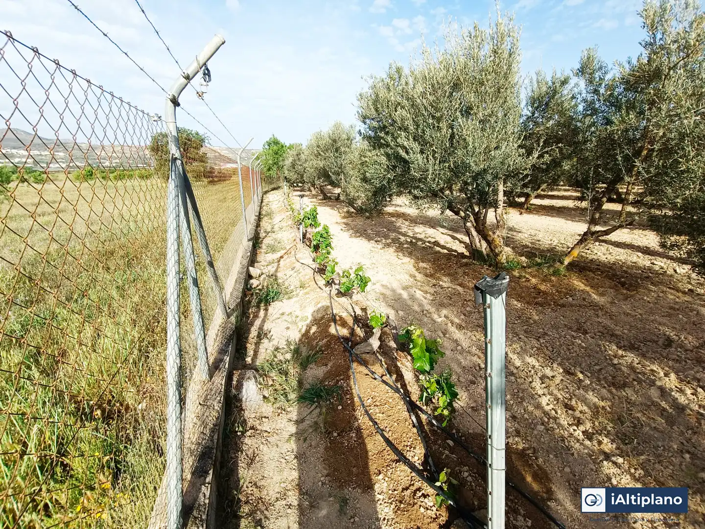 Casa o xalet en venda en Baza amb Jardí privat, Piscina i Moblat