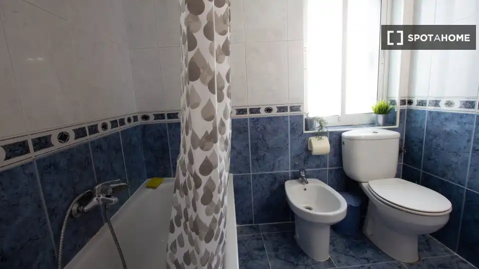 Room in Vidal
