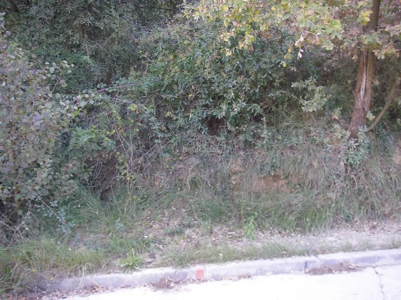 Residential land for sale in Carrer Riera Claret 3, imagen 5