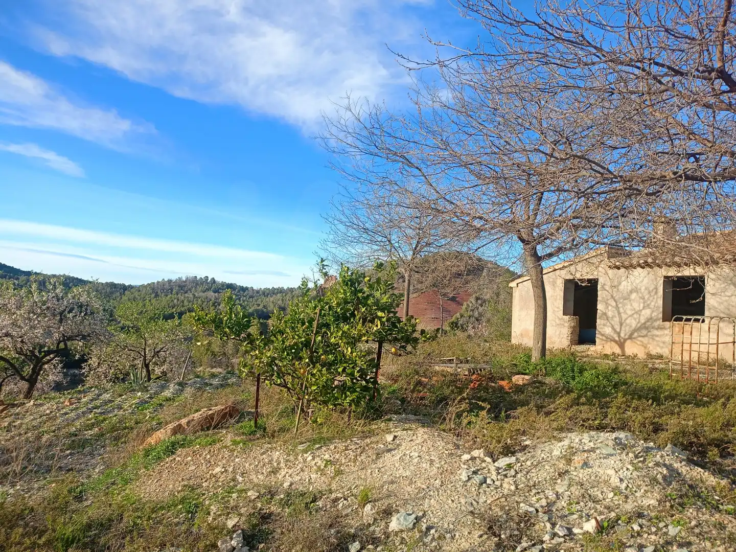 Maison rustique à vendre à Pedanías Centro, imagen 3