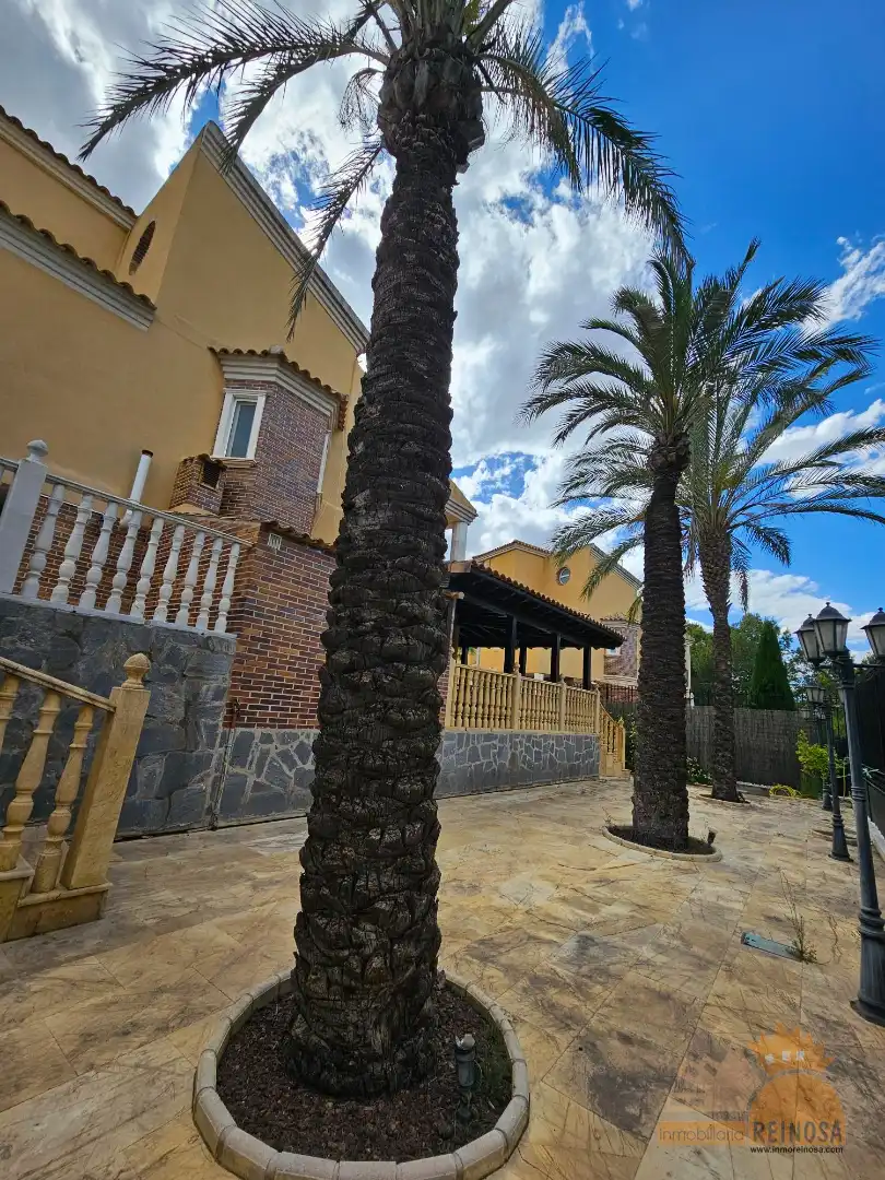 Vista exterior de Casa o chalet en venta en Molina de Segura con Aire acondicionado, Calefacción y Jardín privado