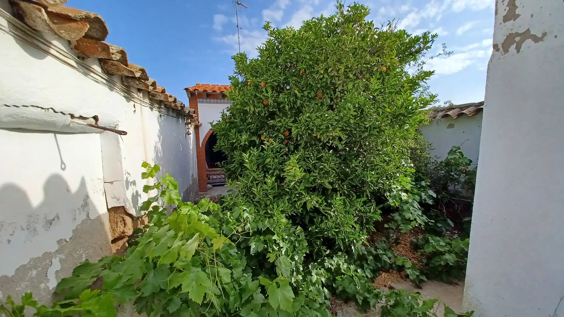 Chalet en venta en Calvario, imagen 27
